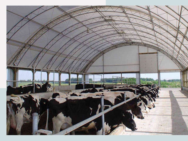 Тентовые коровники в Нурлате